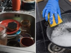Cientistas alertam sobre emissões prejudiciais de esponjas de cozinha