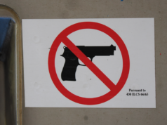 De acordo com o novo projeto de lei, armas serão proibidas nos locais de votação