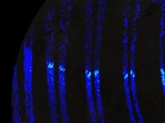 Nave espacial da NASA mostra auroras na lua gigante de Júpiter, Ganimedes, parecidas com a aurora boreal da Terra
