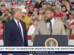 Donald Trump diz a Jake Paul para concorrer a um cargo político