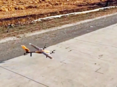 O bambu está em alta na China