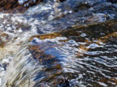 Um rompimento na rede de água no nordeste de Portland causa inundações nas ruas e desvios de tráfego