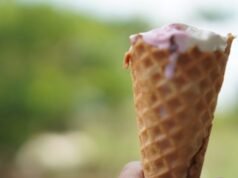 Júri da Flórida concede US$ 14 milhões a mulher que comeu sorvete cheio de pregos e fragmentos de metal