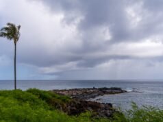 Em apenas 5 dias, foram emitidos avisos de que choverá quase o ano inteiro