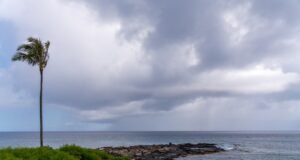 Em apenas 5 dias, foram emitidos avisos de que choverá quase o ano inteiro