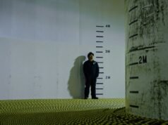 Como o Arctic Link dá vida à Internet com imagens e sons em uma escala épica