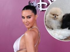 Kim Kardashian compartilha seus quatro filhotes apesar da reação da PETA