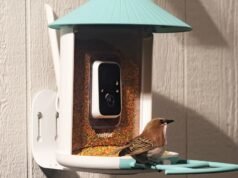 A grande promoção de primavera da Amazon é um ótimo momento para obter um comedouro de pássaros de luxo com tecnologia de IA