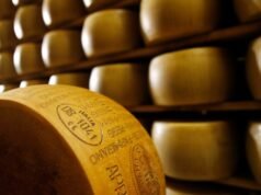 Autoridades de saúde estão investigando surto de E. coli ligado ao queijo cru vendido na Flórida