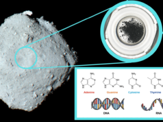 A amostra do asteróide Ryugu contém todos os cinco componentes principais do DNA e RNA: os blocos de construção de todos os seres vivos
