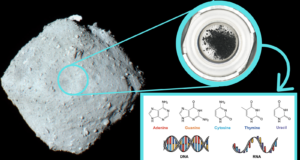 A amostra do asteróide Ryugu contém todos os cinco componentes principais do DNA e RNA: os blocos de construção de todos os seres vivos