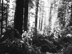 Explore um tesouro de fotos inéditas das filmagens de ‘O Retorno de Jedi’