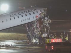 ‘Ele tinha uma grande carreira pela frente’: lembra dele o diretor do centro de treinamento atendido pelo piloto falecido no domingo