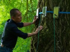 Tony Leung no novo filme de Ildikó Enyedi