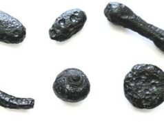 Vidro raro de impacto de meteorito há 6 milhões de anos encontrado no Brasil, mas a cratera ainda está desaparecida