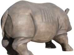 Rinoceronte da sequência de Ace Ventura é vendido por incríveis US$ 60 mil em leilão