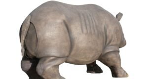 Rinoceronte da sequência de Ace Ventura é vendido por incríveis US$ 60 mil em leilão