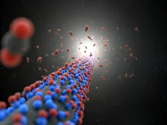 Este novo material de carbono poderia tornar a captura de carbono mais acessível