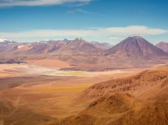 Surpresa do Atacama: o deserto mais seco do mundo guarda vida escondida