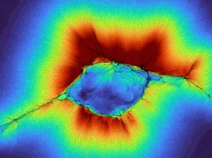 As células detectam 10 vezes mais longe do que o esperado, o que poderia explicar a propagação do câncer