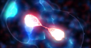 Cientistas finalmente resolvem o mistério do minúsculo centrômero da levedura