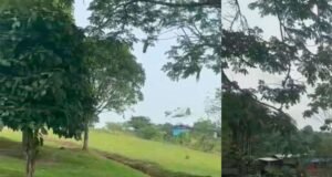 Tragédia aérea na Colômbia: avião militar com 80 passageiros cai