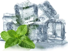 Cientistas finalmente revelam por que a hortelã-pimenta parece fria