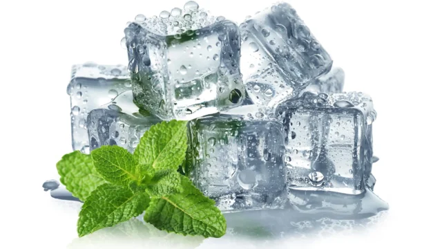 cool-mint-ice-cubes.webp.webp