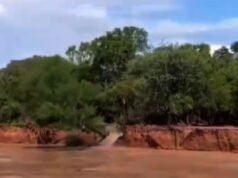Vídeo chocante: Inundação do rio Salado causa deslizamentos de terra e derrubadas de árvores em Alberdi