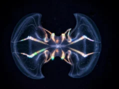 Esta antiga criatura marinha pode ter tido um cérebro