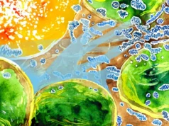 Cientistas descobrem cabo de guerra de oxigênio dentro de células vegetais