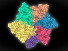 Proteína oculta do fundo do mar pode melhorar testes de doenças