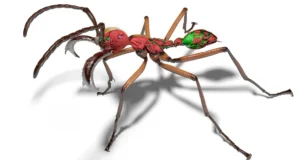 Acelerador de partículas ajuda cientistas a criar impressionantes formigas em 3D