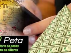 O ex-líder da PETA e seu advogado, condenados por fraude e associação ilícita: buscam suas prisões