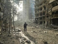 Phoenix ressurgirá das cinzas!