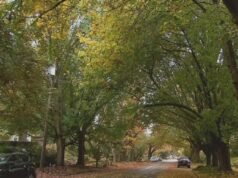 Este bairro de Portland é o melhor lugar para se viver em Oregon, segundo estudo