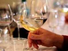 Quinta-feira sedenta: Destaques ‘Savage’ Oregon Sauvignon Blanc