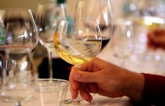 Quinta-feira sedenta: Destaques ‘Savage’ Oregon Sauvignon Blanc