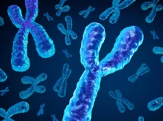 Os homens estão perdendo um cromossomo chave à medida que envelhecem, o que pode ser fatal