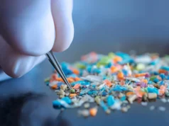 Cientistas chocados ao descobrir que luvas de laboratório podem distorcer dados de microplásticos