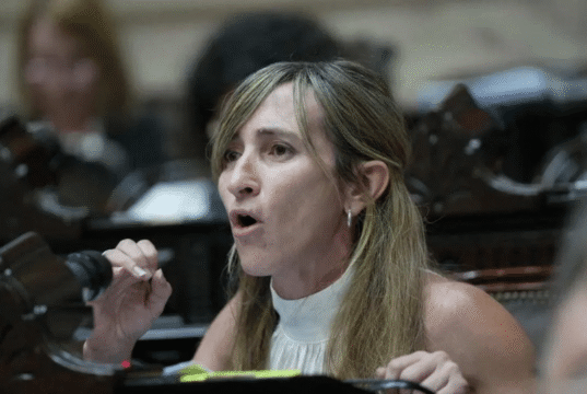 Um deputado apresentou um projeto propondo testes psicológicos para candidatos à política El Intransigente