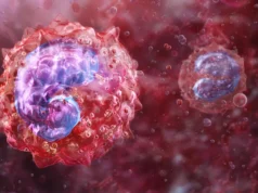 Cientistas descobrem células imunológicas ligadas à fadiga e aos sintomas de longo prazo do COVID-19