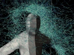 Por que os mosquitos sempre te encontram e como eles decidem te atacar