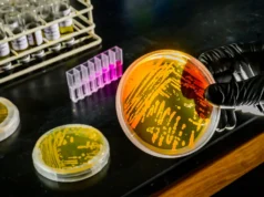 O aquecimento dos oceanos pode melhorar pequenos micróbios que controlam os nutrientes dos oceanos