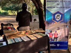 Desmontam um centro de cultivo e venda de drogas perto de Clodomira: roubam plantas, dinheiro e uma arma