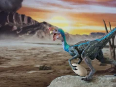 Cientistas reconstroem ninho de dinossauro para resolver mistério de 70 milhões de anos