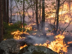 Os modelos climáticos podem estar faltando enormes emissões de carbono provenientes dos incêndios florestais no norte