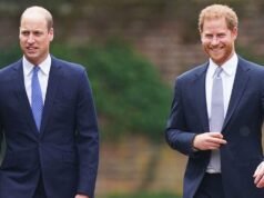 A princesa Diana preparou o príncipe Harry para o papel real, diz um especialista real