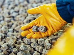 A impressão 3D entra na indústria química com a nova fábrica de catalisadores da BASF