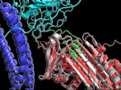 Padrões surpreendentes de proteínas no sangue podem revelar a doença de Alzheimer